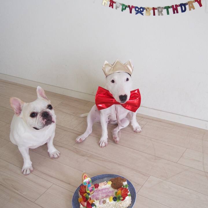 E7772b0c f226 4aaa a8c5 e0353f0945f8