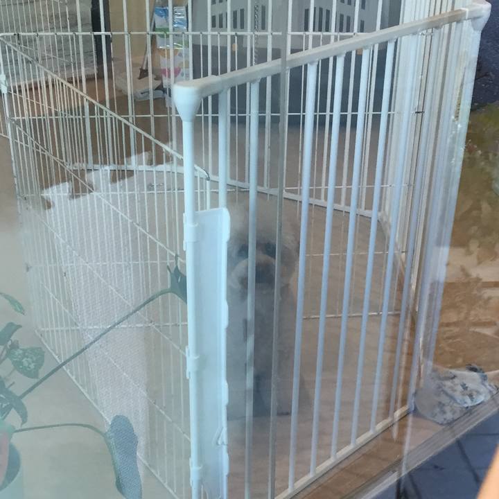 E7775d5f 3bc8 4dc8 bc60 6495d9b26fdd