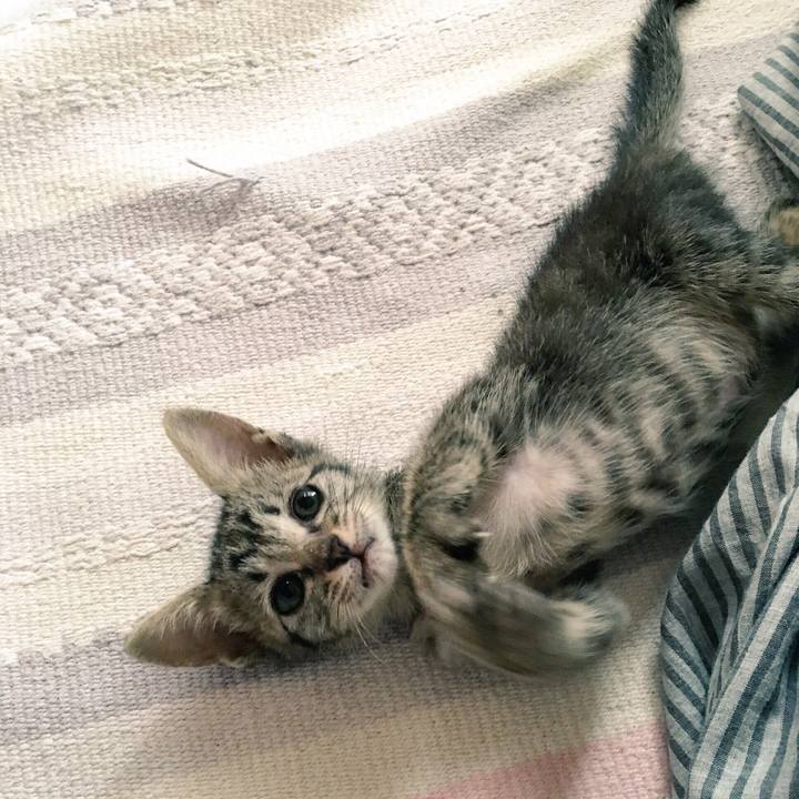 E7778d02 1651 43ae 81bc af98e0339271