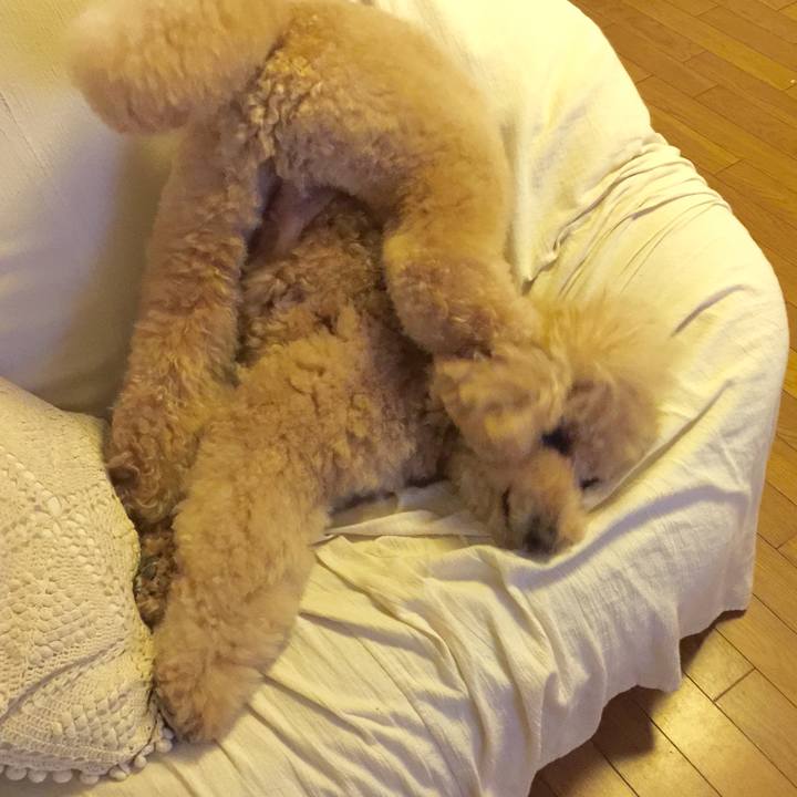 E7779c3b c41b 4fb1 bc17 dd96c27ca93e