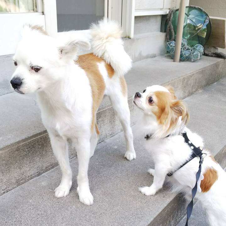 E778545d 052f 42ac 93ff 714ae1e46800