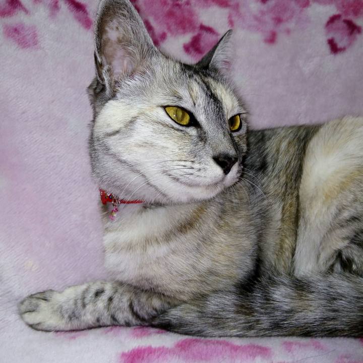 E7793189 3c78 4243 b88a dbd681beabe8