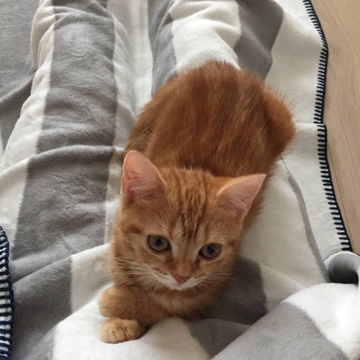 E7798835 b04f 4e88 b68f 8a97fd3d233c