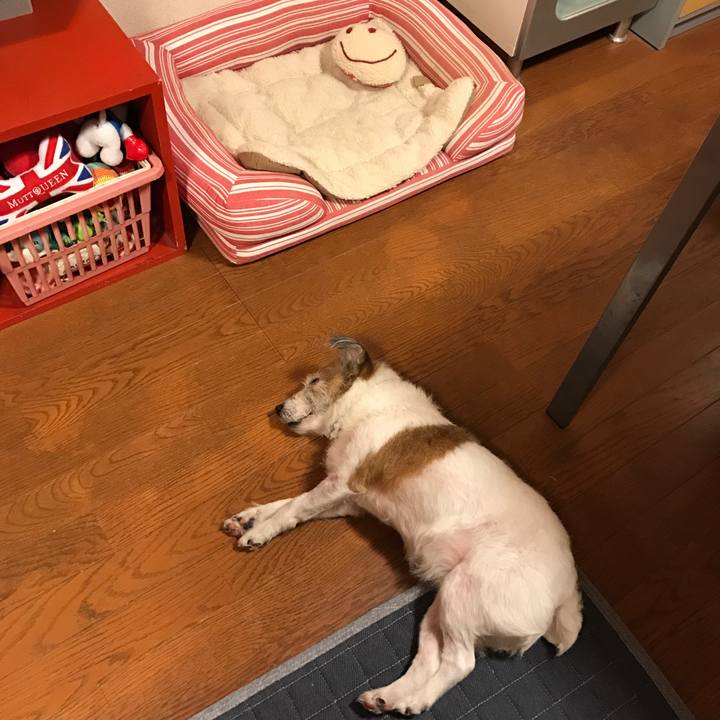 E779d20a 0127 4dd8 8a64 e7bdb31ed15f