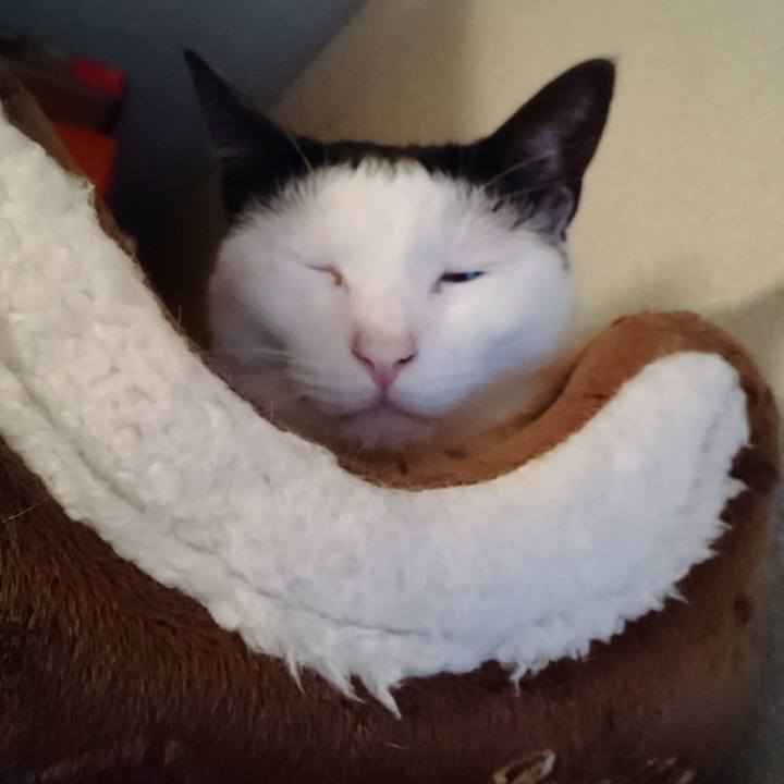 E77a774d a79a 460b a47f a9e1eb3161ed