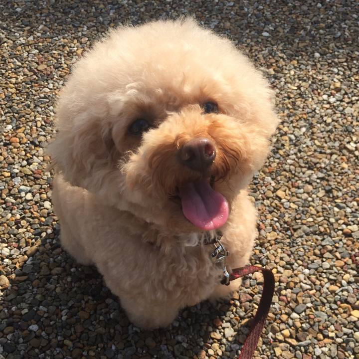 E77ab179 4d0c 453e 9c62 6cceb6da495d