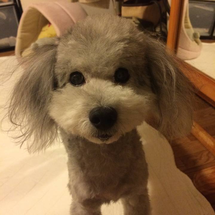 E77afdb4 2d98 425a b886 7c4801bd0c5a