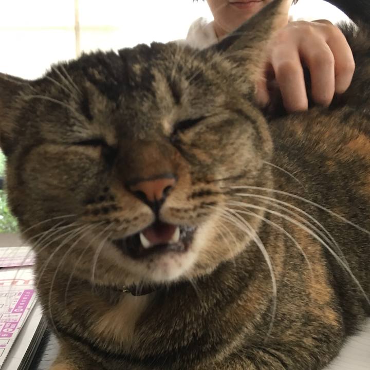 E77b724c fa48 4c39 9f39 205463f25987