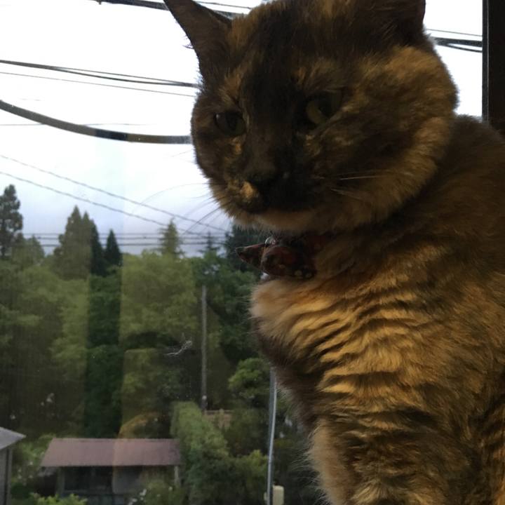 E77b7b63 a614 4071 b991 e8d23deb9f4d