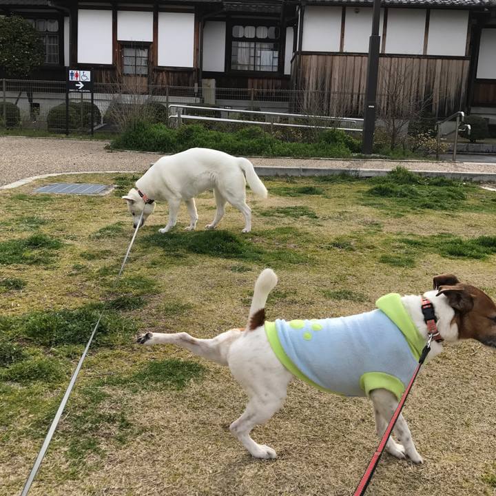 E77bb552 f6d6 4ab4 8c28 b452c8ee6539