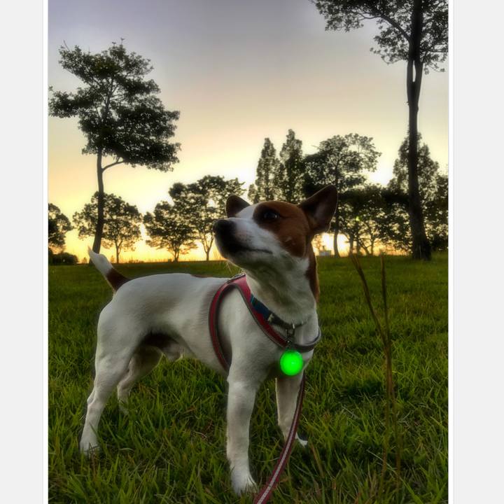 E77bd99c c734 4ded 8525 4a72569cf48a