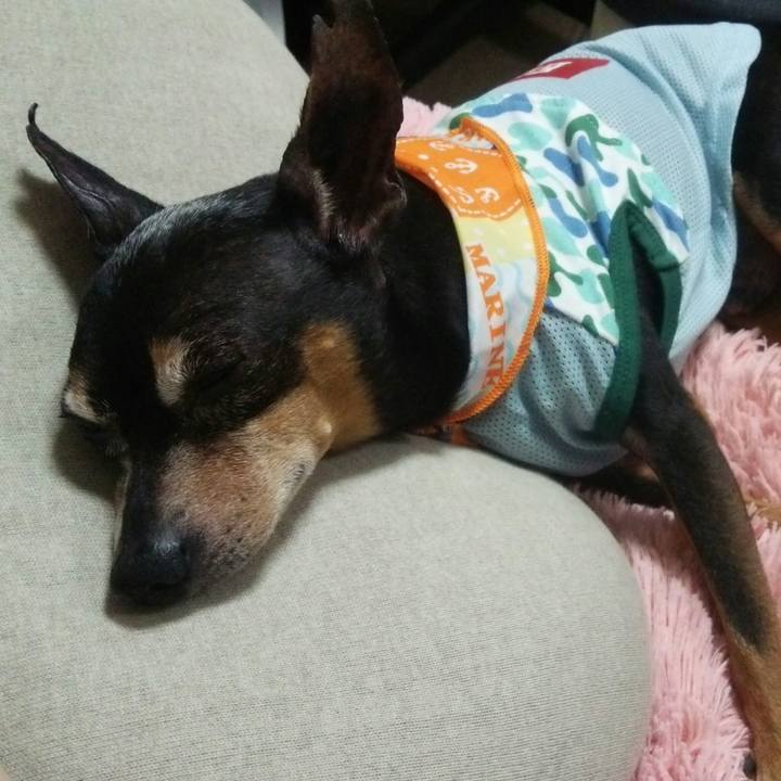 E77c3c27 d81d 40f4 8ff4 a462bebfd0a5