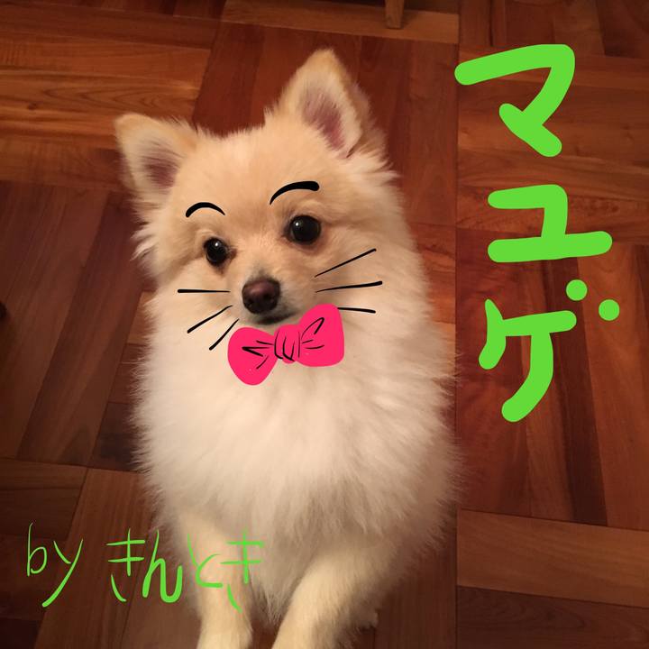 E77c689a e57c 41aa bd24 6141401b8c8a