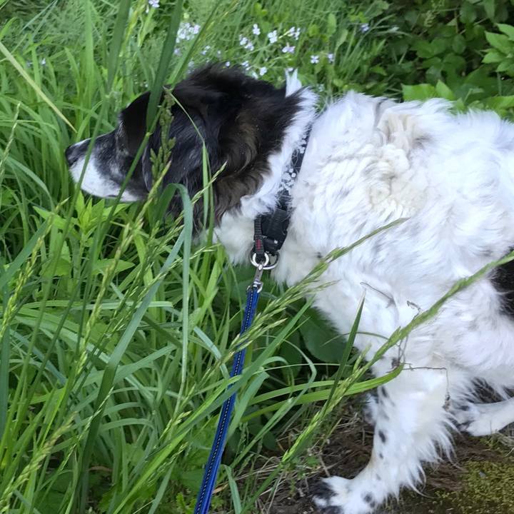 E77c6d54 a92e 457b ac58 2ad95db58621