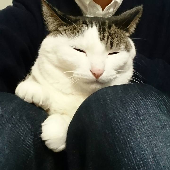 E77c8f28 438c 40c7 ac1b 9fc658293b35