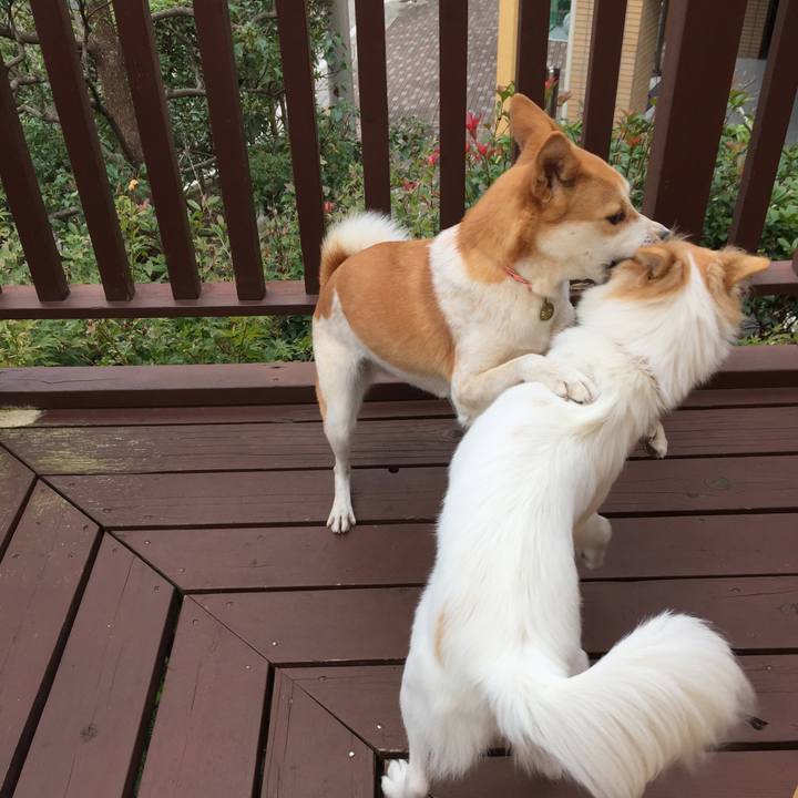 E77d047a bdda 4bc2 b992 0a5a3ab752ce