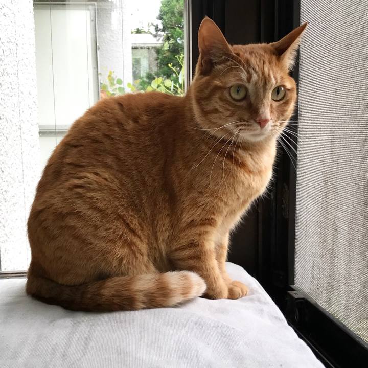 E77d0883 5a3a 4d77 b781 c2e95bd048e0