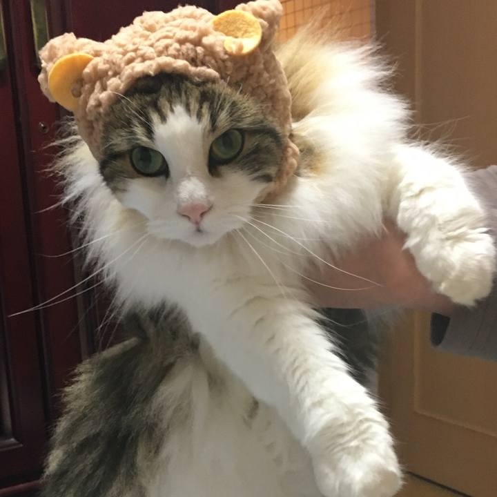 E77d0f38 f5bc 48ab 8079 7f83592f67c9