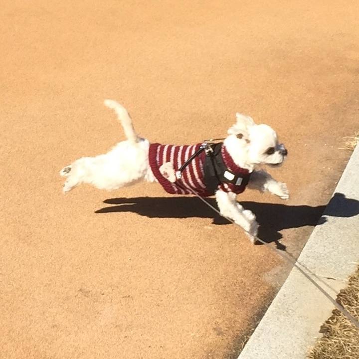 E77d4aab 95b9 4a64 a000 ebbdd15d3bcf