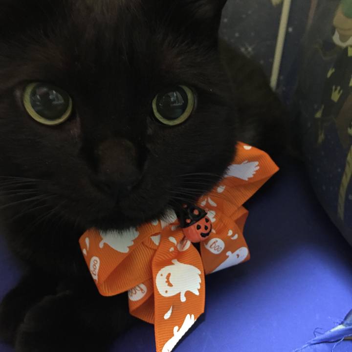 E77db899 b9cd 48ff 986d 9e82e4e577ee