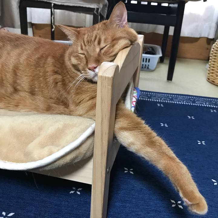 E77dc309 2b8c 4d5c b037 937e9671a1c2