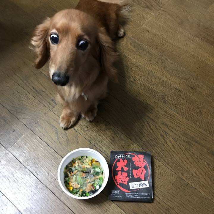 E77dc36e 840b 4847 8438 c6db3e920fa4