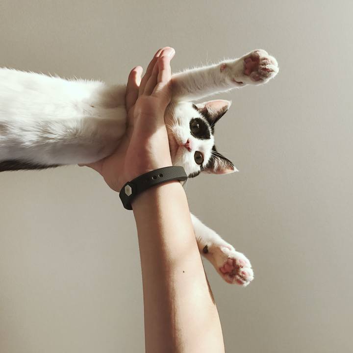 E77de7a5 0820 4397 af14 9c732ce41cde