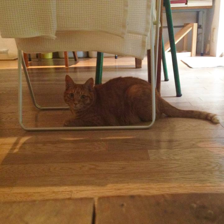 E77decce c7a8 4f23 9267 eb294435ccf5