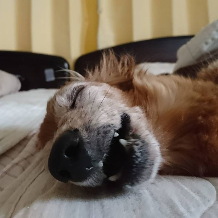 E77e136b 4279 434c b215 f89503e7df6d