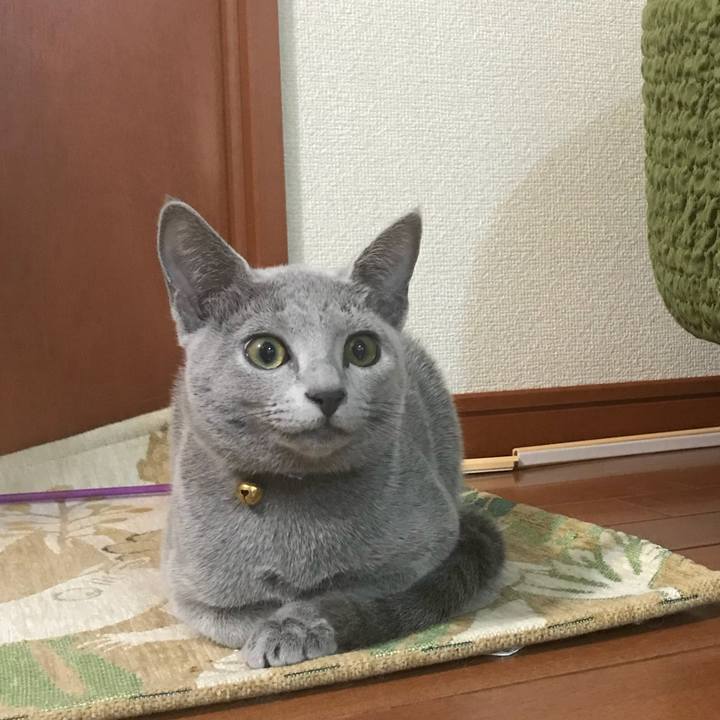 E77ea281 578d 4877 9013 8c2d42789cee