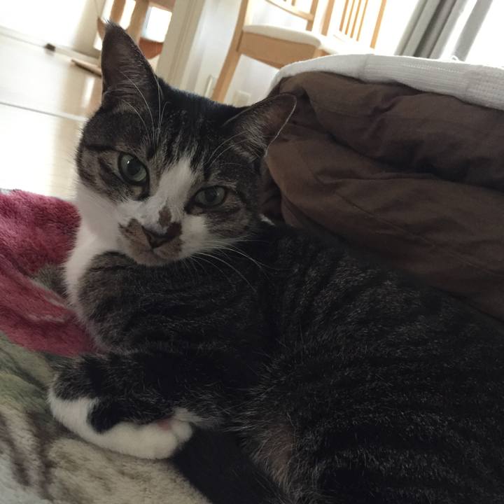 E77ee9b3 dcaa 42e5 a551 ad7126df7c55