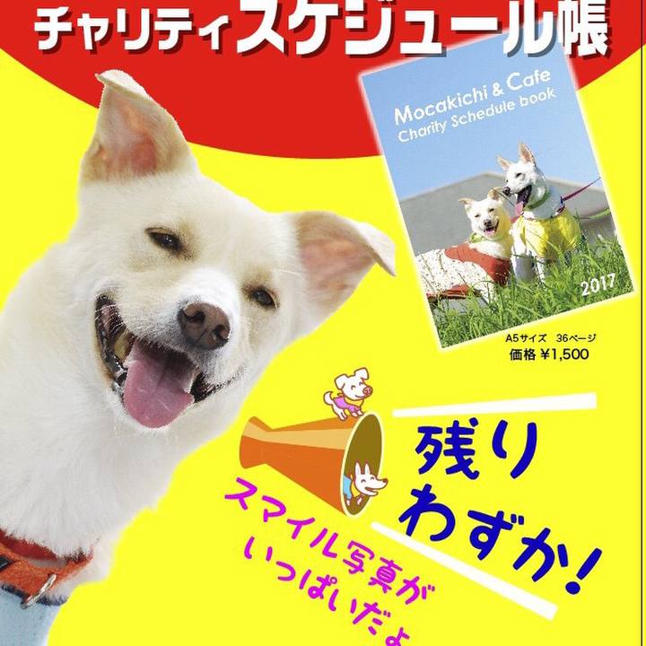 E77ffc23 d10b 4b00 845d f0e80b8d4eeb