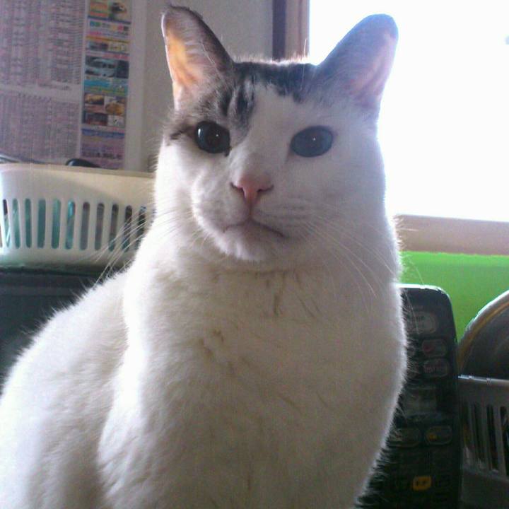 E7803d90 0728 41c1 8af6 600f56b9360b