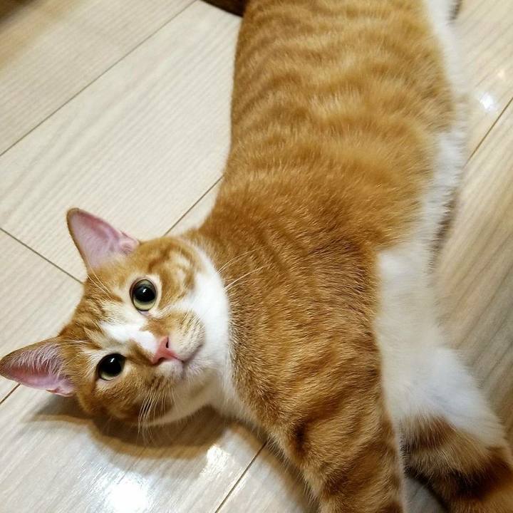 E7804912 a4c6 437a a7ed 20141a9d4b31