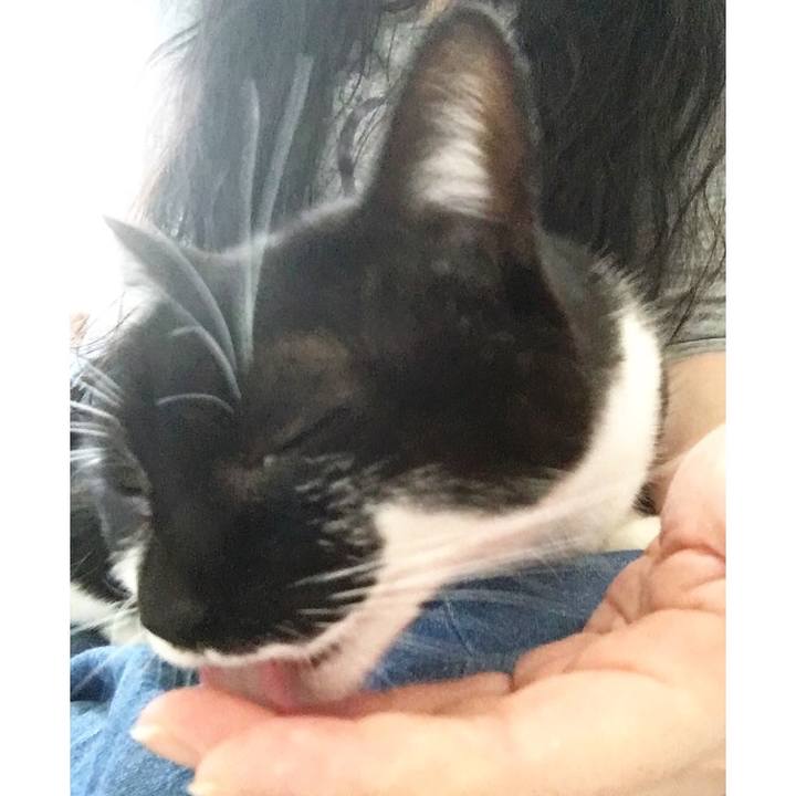 E78095f3 afc6 4a22 a62a 68cce0b89b5b