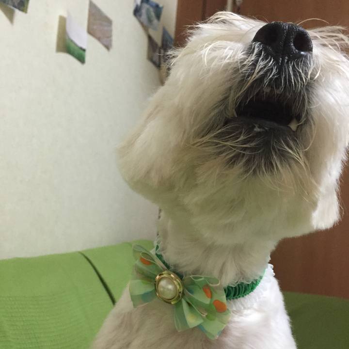 E780ac66 5116 4f6c b50d faa24fa40070