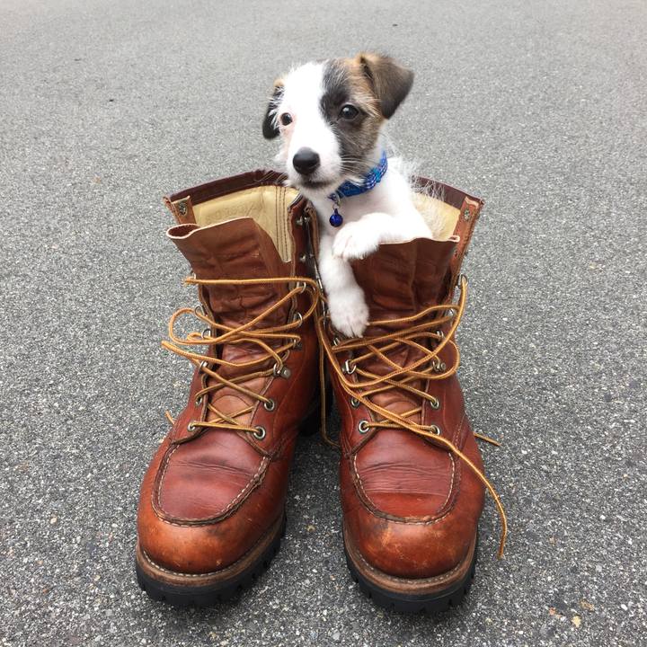 E780b31f 8440 40cb b493 0c625665cee4