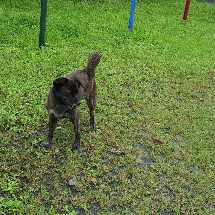 E78203f2 19d8 4810 9779 081f81f40e52