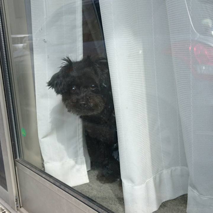 E7821956 f629 4c9b b111 2b395a0b26c0