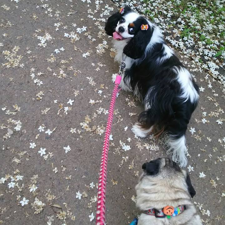 E7828c1c e27d 41c8 981e bad8f4874c36