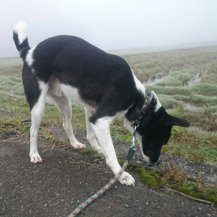 E782b632 0c19 4521 ab65 1f74a91ad5ae