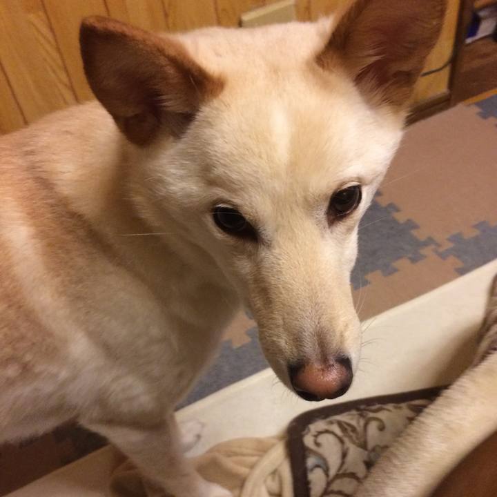 E782e3cb 2cad 4872 8535 7be8c4747c53