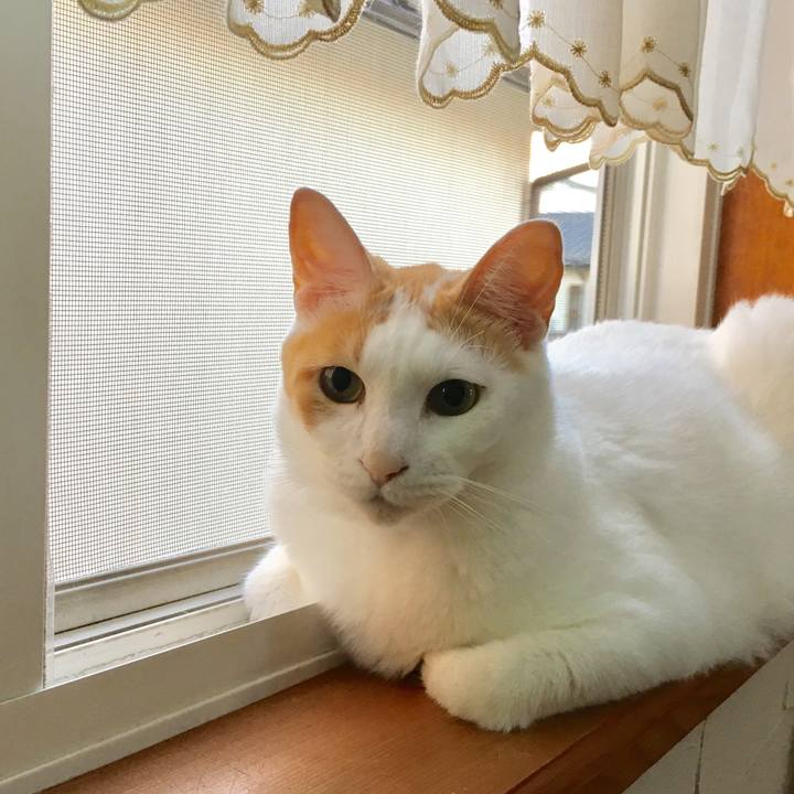 E7830f1d 50db 40cb a0ac 9cd6caa804cf