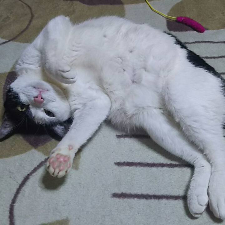 E7836d65 166d 4263 9ed5 de3d6de7fd6d