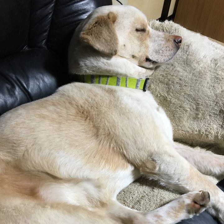 E7837bbd e9a7 434a ba48 fba837e85c62