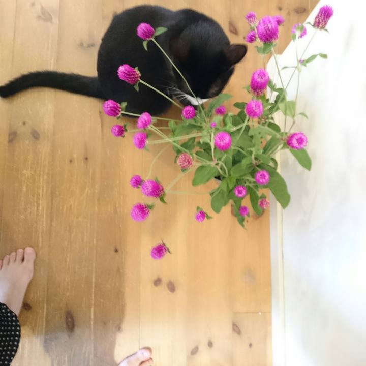 E783afd0 06c5 48c7 bbb6 1a1157a46f1d