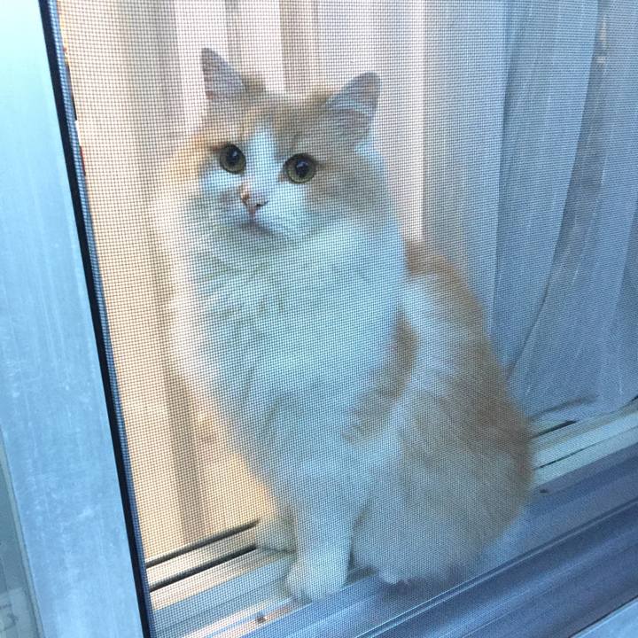 E783b36d d0a8 49e8 86ee f01c6cf134b0