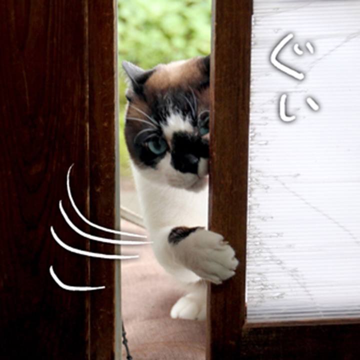 E7847c0d 20c5 41a6 9d01 4864ba5e1d9c