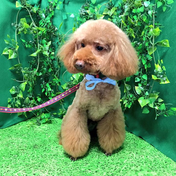 E785b9cf ff33 4703 86a4 de6f24bfd7f0