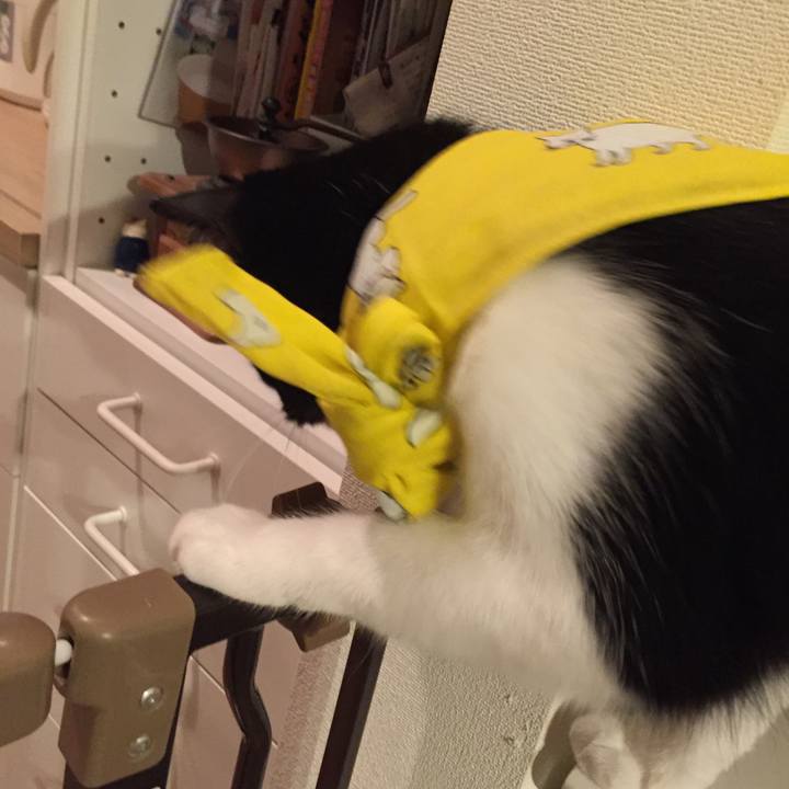 E7868735 1b04 4b9c bdce 9c0e61946ac2